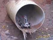 В Тюмени — «вонючий коллапс»: вода из крана пахнет падалью, а очереди за питьевой водой растут