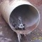В Тюмени — «вонючий коллапс»: вода из крана пахнет падалью, а очереди за питьевой водой растут
