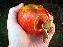 Активизировались мошенники рассылающие уведомления о сбоe IOS