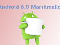 Намечается выход новой операционной системы Android