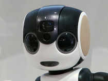 Компания Sharp показала робот смартфон RoboHon
