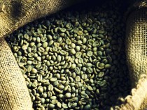 Зеленый кофе — это бесполезный для похудения продукт