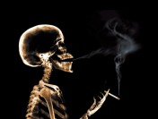 Бюджет получит 440 млн рублей от лицензирования табачного рынка в 2027 году