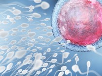 Марихуана может посодействовать в борьбе с бесплодием — Ученые