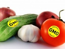 Американские ученые опубликовали доклад о безопасности продуктов с ГМО