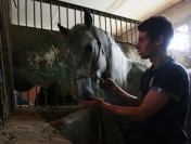 Букмекеры перечислили на спорт рекордные 10,05 млрд рублей во втором квартале 2026 года