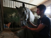 Букмекеры перечислили на спорт рекордные 10,05 млрд рублей во втором квартале 2026 года