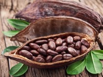 Назван продукт, постоянное употребление которого улучшает память