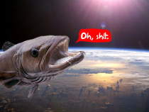 Fishing Space — приложение для общения рыбаков