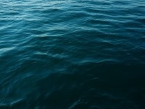 Уран, добытый из океанов, может обеспечить энергией на тысячи лет — Ученые