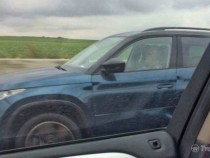Кроссовер Skoda Kodiaq заметили без камуфляжа