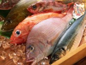 Россия резко увеличила поставки рыбы и морепродуктов в Китай на фоне их недоступности для россиян