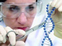 Ученые рассказали, что может продлить жизнь человека на 60%