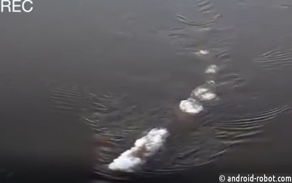В Сети появилось видео таинственного чудовища, всплывшего у берегов Аляски В Сети появилось видео таинственного чудовища, всплывшего у берегов Аляски