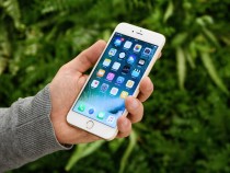 Apple выпустит iPhone 8 с 5 и 5,8-дюймовым экраном