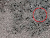 В NASA разгадали тайну появления и роста «пауков» на южном полюсе Марса
