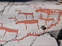 Ученые расшифровали наскальные рисунки о глобальной катастрофе