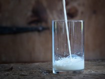 Производители молочной продукции жалуются на нехватку топлива — срываются сроки поставок