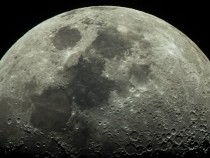 НАСА обещает посодействовать SpaceX с запуском туристов в полет вокруг Луны