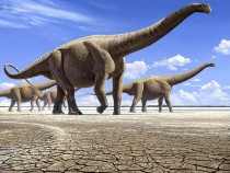Ученые отыскали эрогенную зону доисторических рептилий