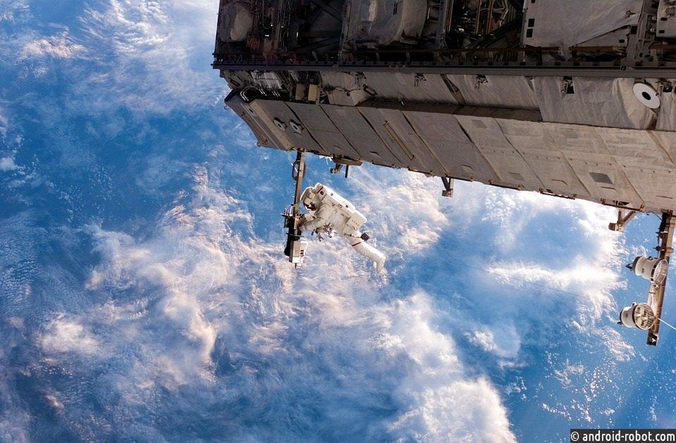 Живые бактерии из космоса: найдены на МКС, изучаются на Земле