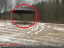 В web-сети интернет размещено видео высадки инопланетян на Аляске