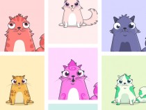 Проект CryptoKitties сумел привлечь 12 млн долл.