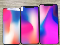 Экраны трёх новых iPhone показали на фото