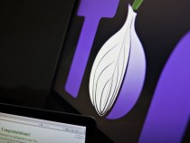 Анонимный Tor Browser стал доступен для Android-устройств