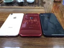 Apple предложит к iPhone XR прозрачный чехол за $40