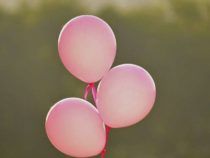 Биотехнологический стартап привлекает 64 миллиона долларов, чтобы уничтожить рак