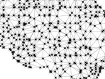 ИИ может обнаружить инфекции мочевыводящих путей