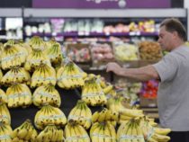 Walmart экспериментирует с ИИ для мониторинга магазинов в реальном времени