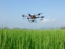 DJI представила дрон AGRAS T20 для опрыскивания сельскохозяйственных культур