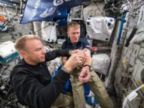 Ученые: Пребывание в космосе снижает количество эритроцитов