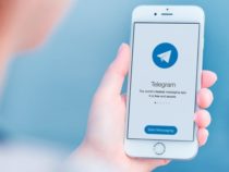 В Госдуме допустили разблокировку Telegram вслед за Roblox