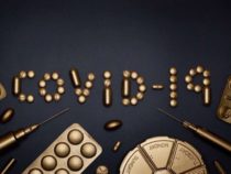 Согласно новому исследованию, естественные антитела к COVID-19 сохраняются у детей семь месяцев