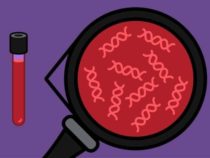 Новый метод улучшает обнаружение ДНК рака в крови