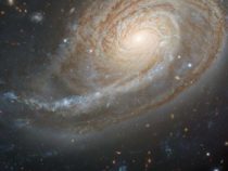 Астрономы: Галактика NGC 772 имеет сильно развитый спиральный рукав