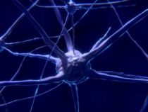Создают искусственные нейроны с помощью математики