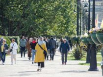 По итогам марта конкуренция на рынке труда Краснодара выросла до 6 человек на место