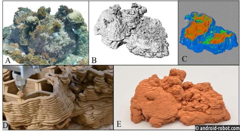 Разработан метод 3D-печати для сохранения коралловых рифов