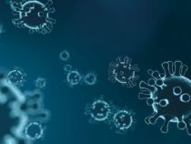 Вакцины индуцируют несколько механизмов иммунной системы для защиты от COVID-19