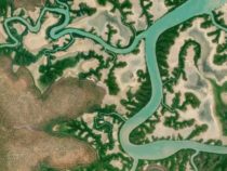 Австралия перешагнула три планетарные границы, основанные на землепользовании