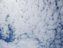 Атомная энергия крайне неконкурентоспособна без высокой цены на выбросы углекислого газа