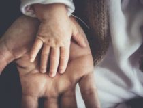 Использование социальных сетей проливает свет на психическое здоровье отцов