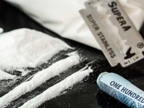 Ученые определили новый мозговой механизм, связанный с импульсивным поиском кокаина у крыс