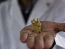 Инженеры печатают еду на 3D-принтере