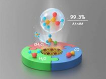 Прямое превращение CH3Cl в уксусную кислоту посредством реакции карбонилирования