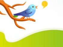 Спор Маска с Twitter по поводу ботов продолжается